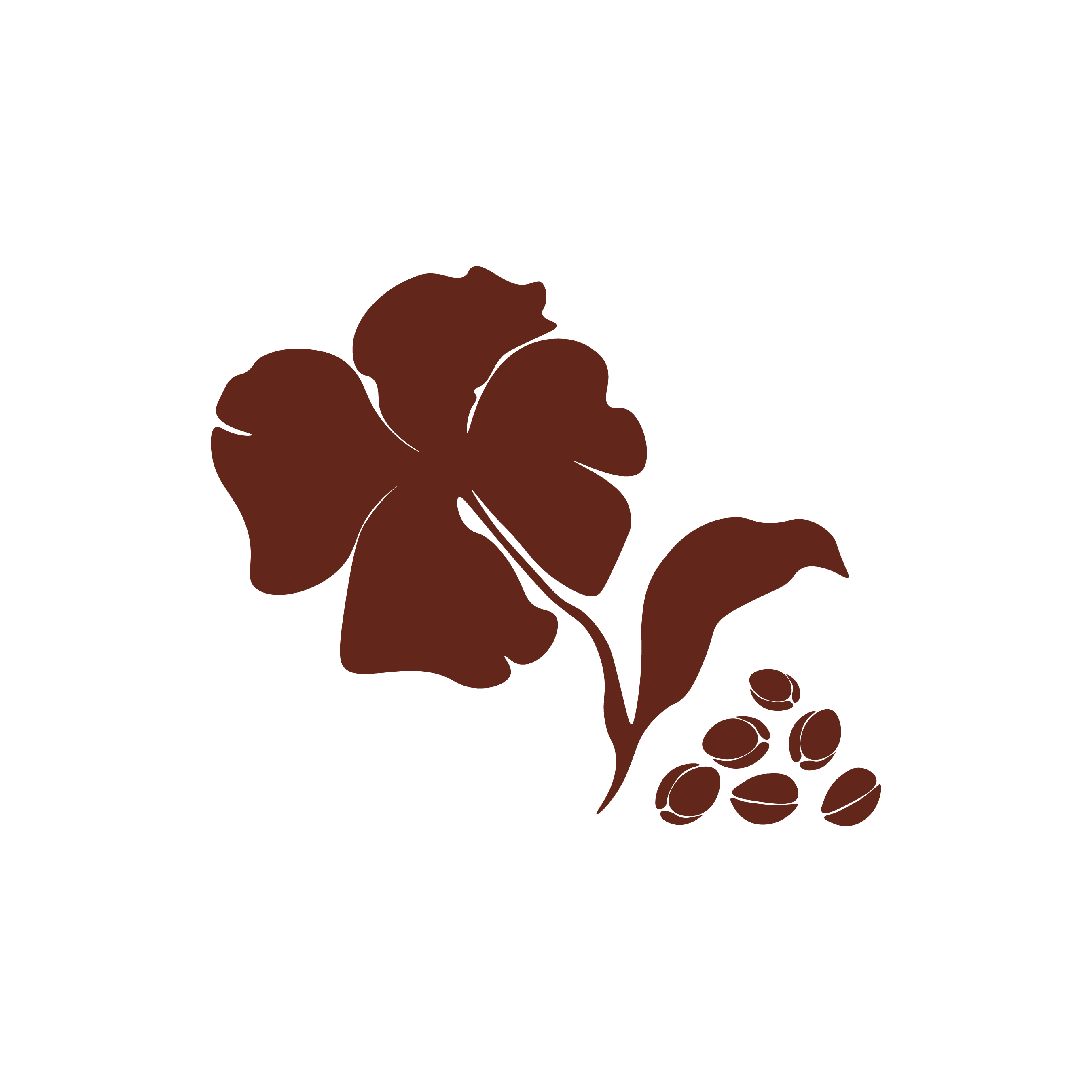Flat-style illustration of a camellia flower and seed pods in deep burgundy, representing organic camellia japonica.