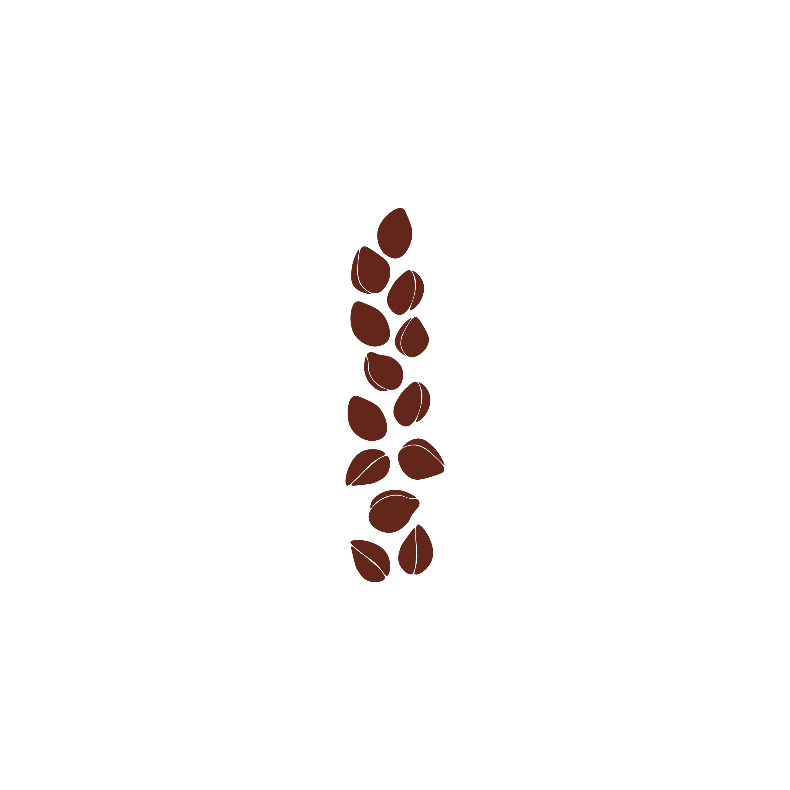 Flat-style illustration of a hemp seed stem in deep burgundy, representing organic hemp seed oil.