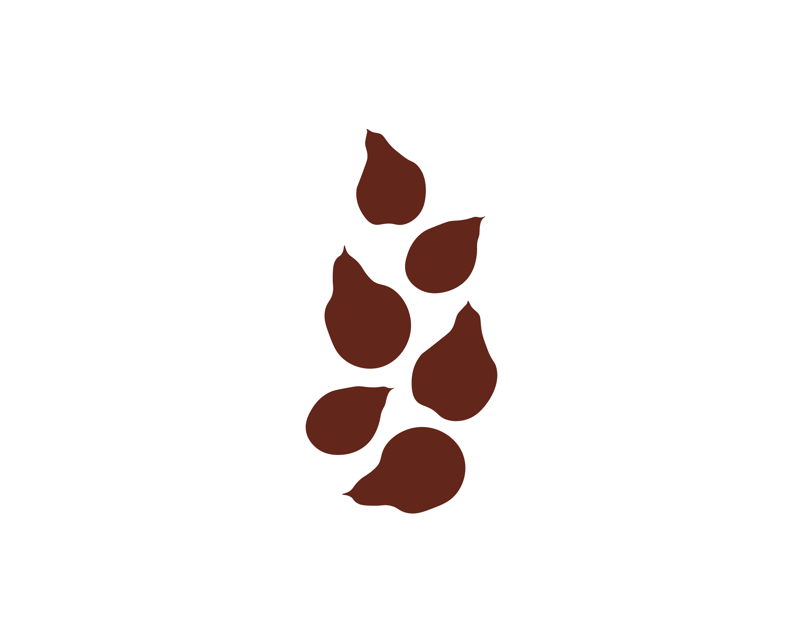 Flat-style illustration of kakadu plum leaves and fruit in deep burgundy, representing wild-harvested kakadu plum seed oil 