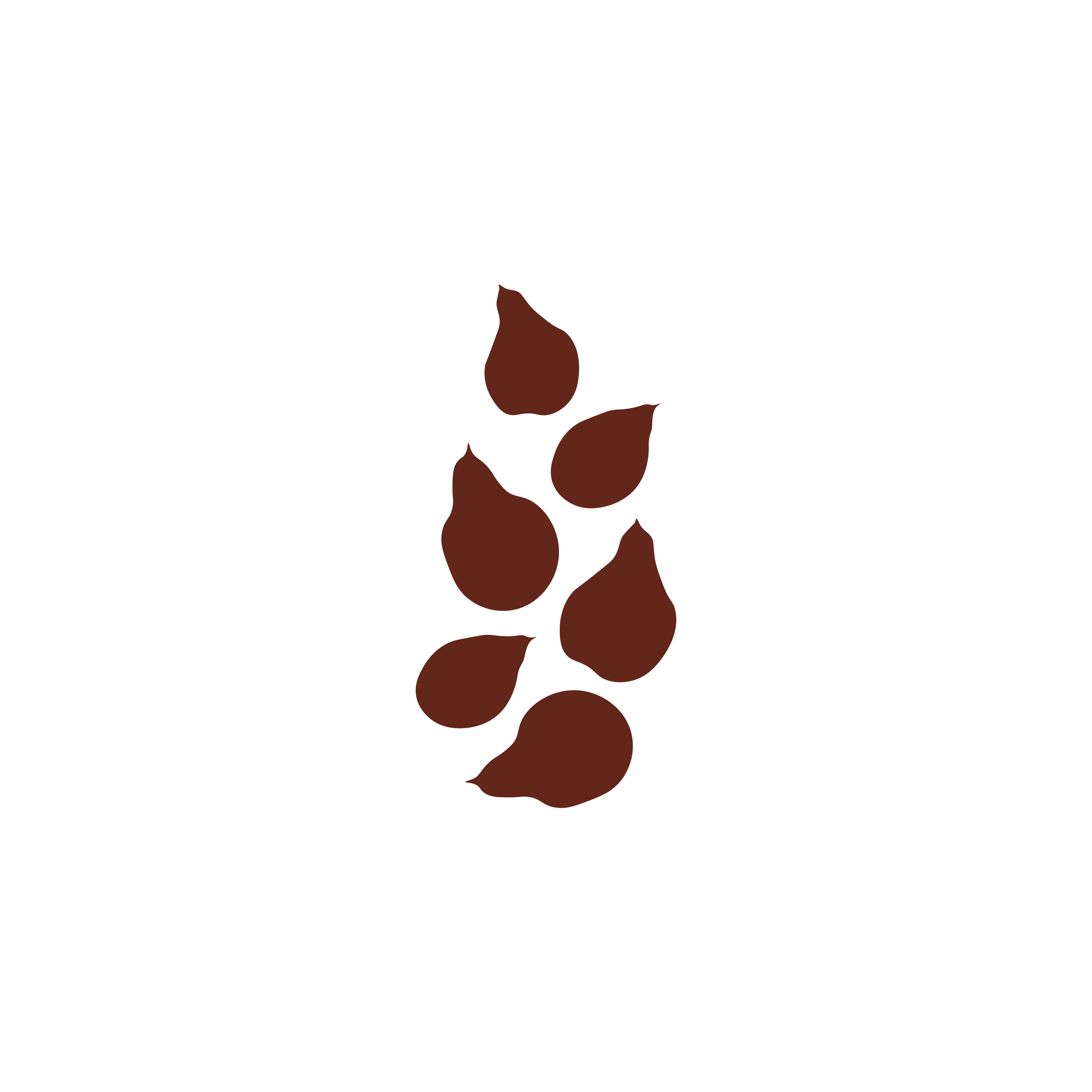 Flat-style illustration of kakadu plum leaves and fruit in deep burgundy, representing wild-harvested kakadu plum seed oil 