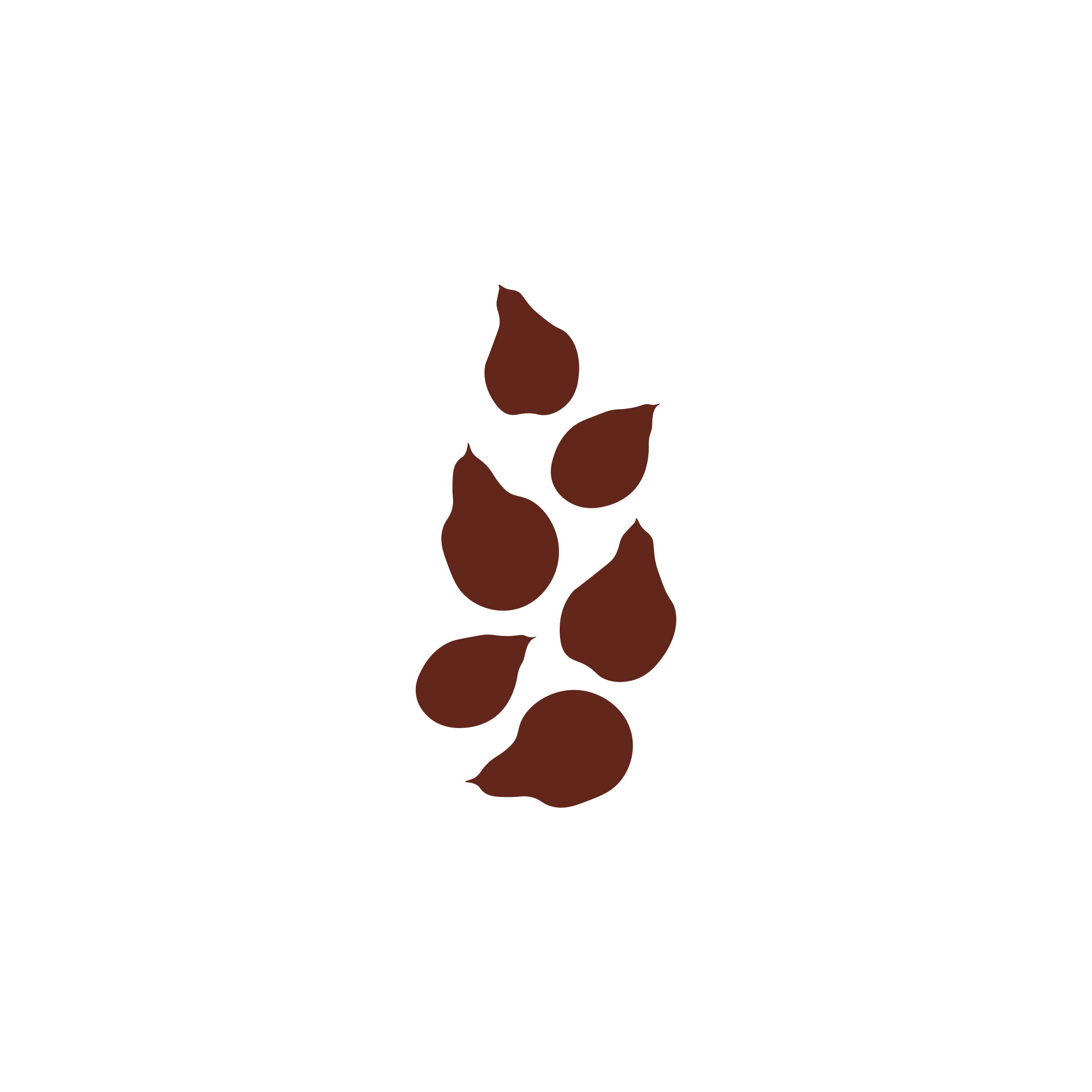 Flat-style illustration of kakadu plum leaves and fruit in deep burgundy, representing wild-harvested kakadu plum seed oil 